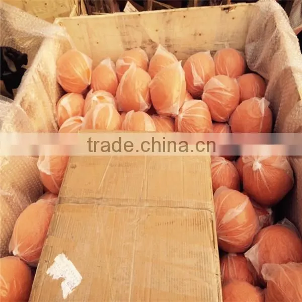 Concrete Pump Sponge Cleaning Ball photo-6