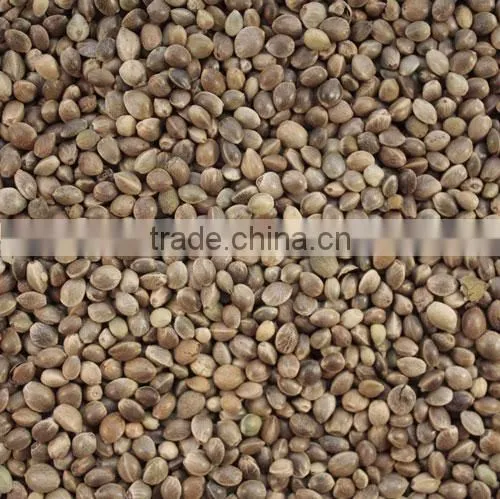 Bulk Hemp Seeds, Chia Seeds, Goji Seeds, Moringa Seeds