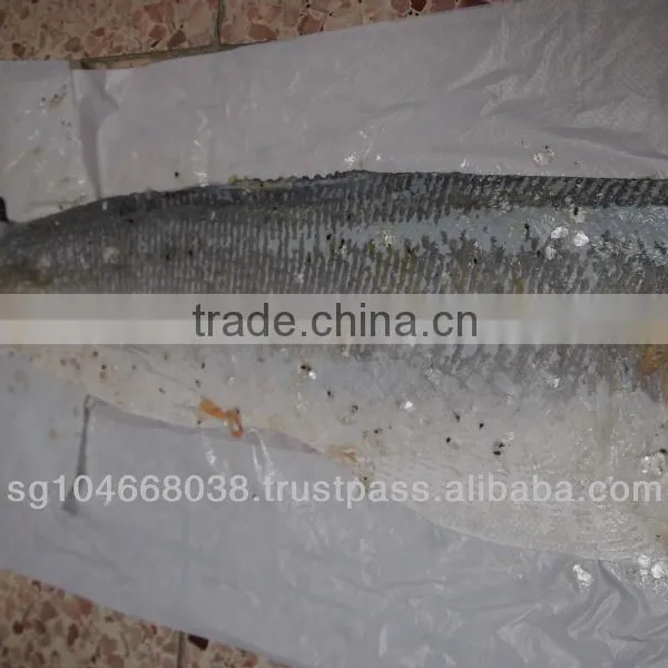 FROZEN ATLANTIC SALMON SKINS photo-4