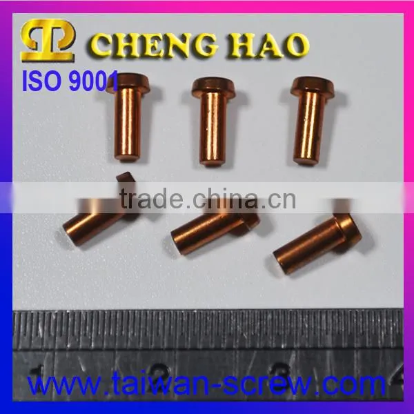 Manufacturer Fastener 304 Stainless Steel 2mm Rivets photo-2