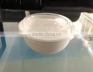 Bio-degradable Bowl