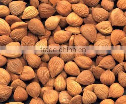 Apricot Kernel photo-2