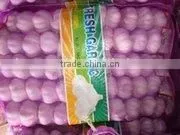 Chinese White Garlic