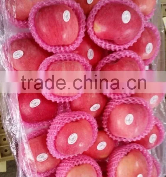 Hot Sale Chinese Fuji Apple photo-5