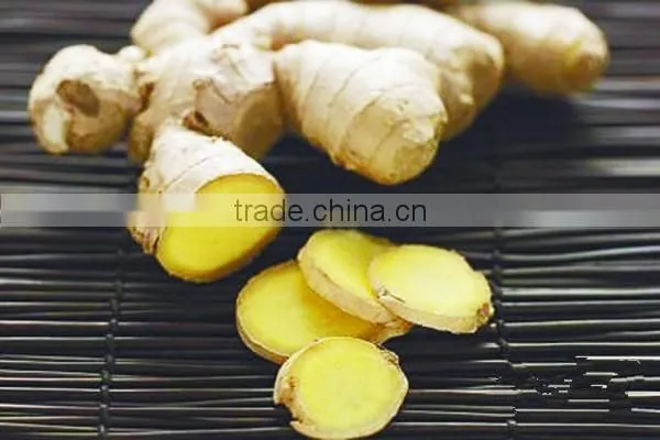Competitive Price Wholesale Fresh Young Ginger