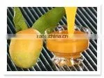 Totapuri Mango Pulp