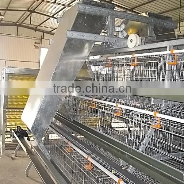 Battery Chicken Cage/layer Chicken Battery Cage/chicken Layer Cage for Sale photo-3