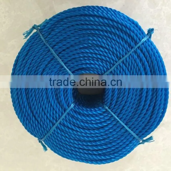 2016 Best Quanlity 2016 China PP Danline Rope,PP Rope,PP Color Rope Rolls photo-3