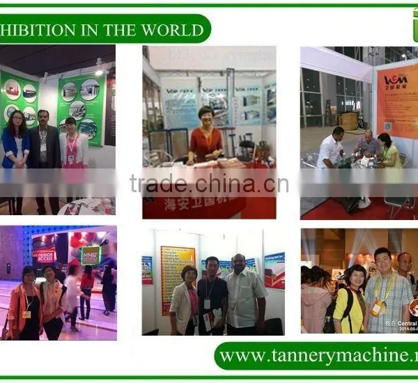 Raw Blade Wet or Dry Electric Sheep Shearing Machine photo-3