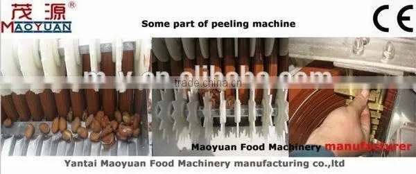 Stainless Steel Groundnut Red Skin Peeling Machine/peanut Peeler--the Biggest Peeling Machine Manufacturer in China photo-2