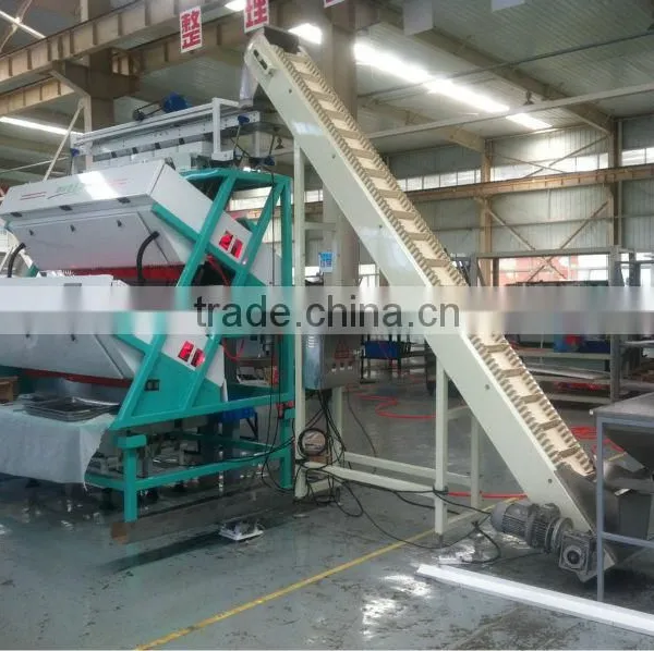 Orthodox CTC Black Tea Color Sorting Machine photo-3