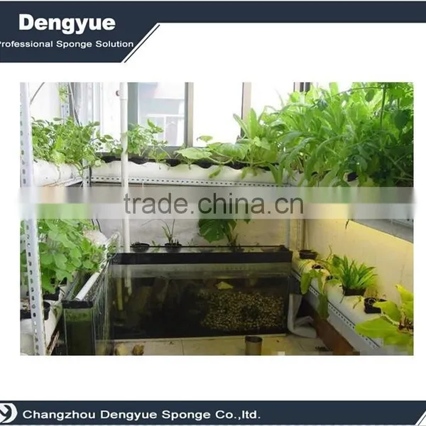 Agricultural Polyurethane High Densuty Seeds Plant Foam&sponge Tray photo-5