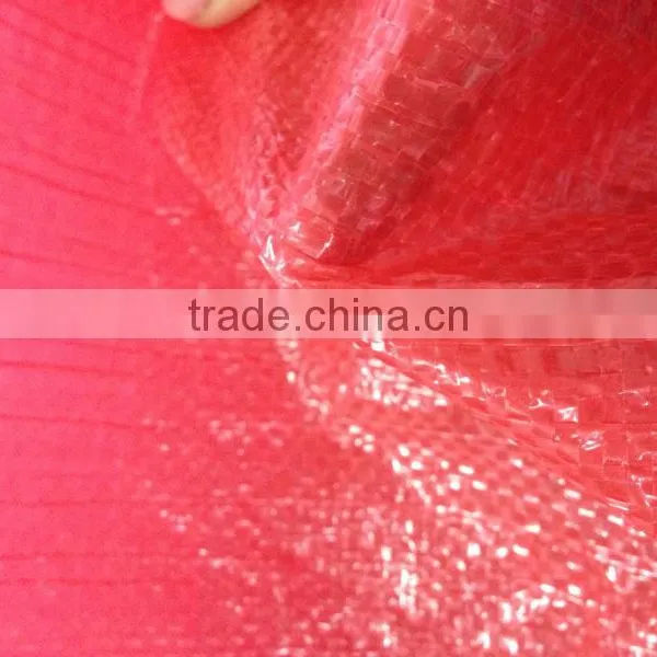 PP Woven Potato Bag photo-3