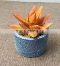SJ10181201 Wholesale All Types Of Artificial Cactus Plants photo-5