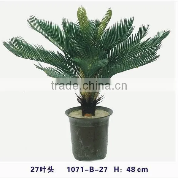 SJ300915 Decorative Cycas Revoluta Tree/artificial Cycas Revoluta Bonsai Plant photo-4