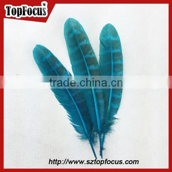 Comfortable Ornate Short Prom Dresses With Fly Tying Pheasant Feathers photo-3