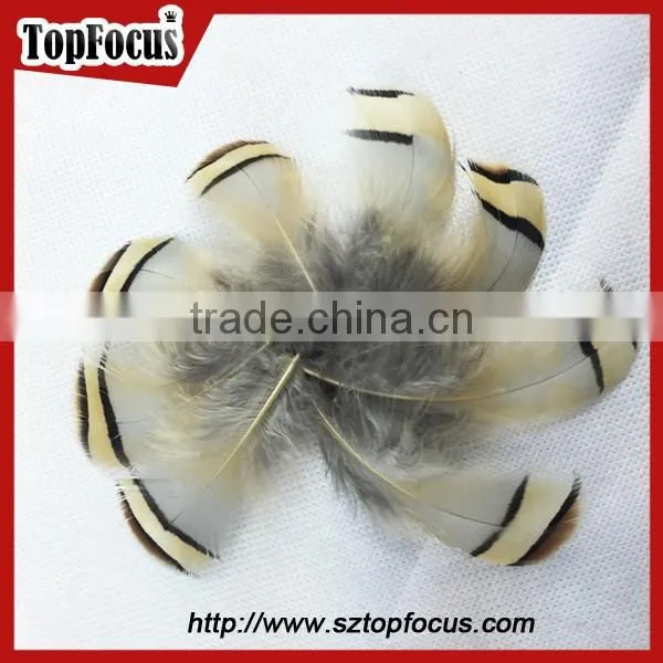 6-8cm Cheap Reeves Pheasant Tail Feathers Headpiece Carnival photo-3
