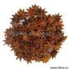 Sell Star Aniseeds