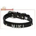 Stylish DIY Dog Collar With 18mm Slide A -Z Letter Charm In Black Crocodile , Designer Pet Collars
