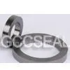 Flexible Graphite Ring