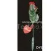 Recording Rose,glow Rose