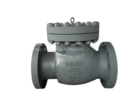 DIN/API Cast Steel Check Valve
