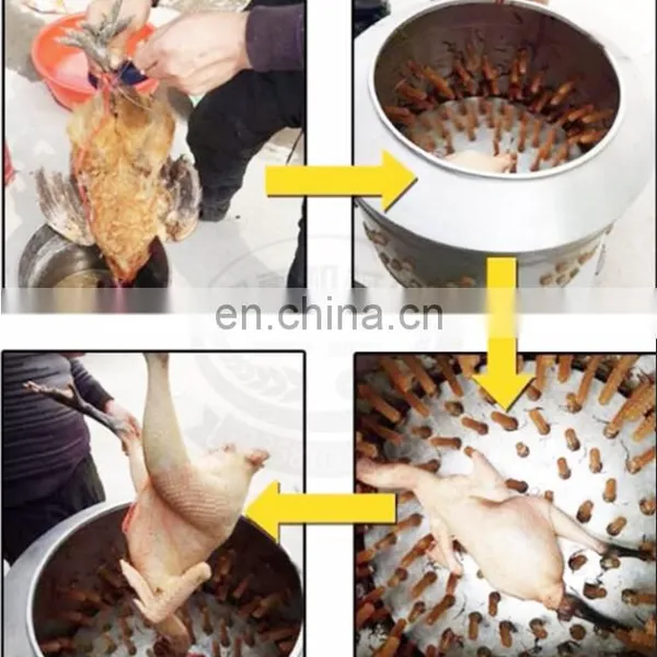 TM-65 High Plucking Rate 3500w 65cm Diameter Desplumadora de Pollos Chicken Cleaning Machine Chicken Cleaning Machine photo-3