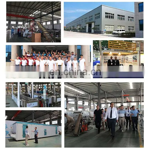 Lyophilizer 200 Square Freeze Drying Machine Sublimation Condensation Dryer Vacuum Lyophilizer Price photo-4