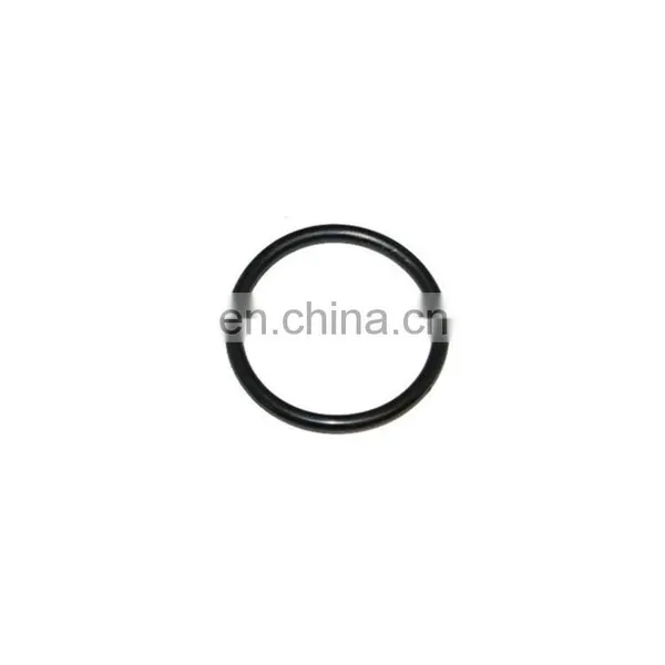 Top Quality And Hotsale Pielstick O Ring photo-3
