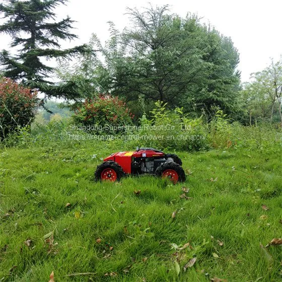 Remote Controlled Lawn Mower, China Rechargeable Brush Cutter Price, Pond Weed Cutter for Sale photo-4