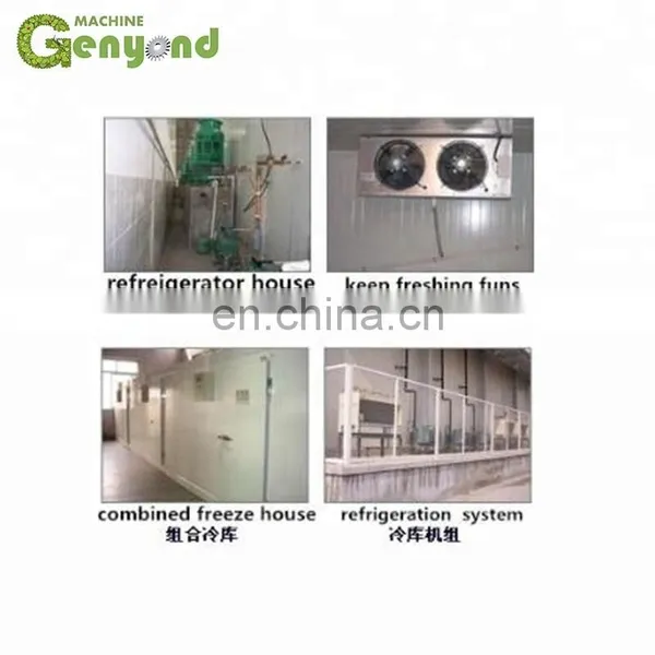 Cold Storage Warehouse Construction at Competitive Price photo-4