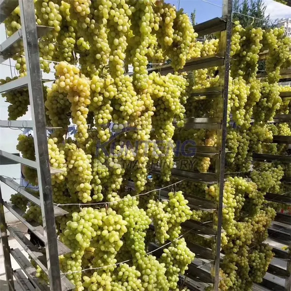 Fruit and Vegetable Drying Processing Machine Grape Raisin Drying Machine Mango Dryer Machine photo-4
