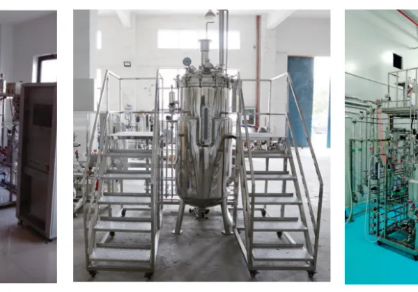 Industrial Pilot Fermentation System with Multi-Tank Parallel Control, GasMix Workstation & Siemens PLC