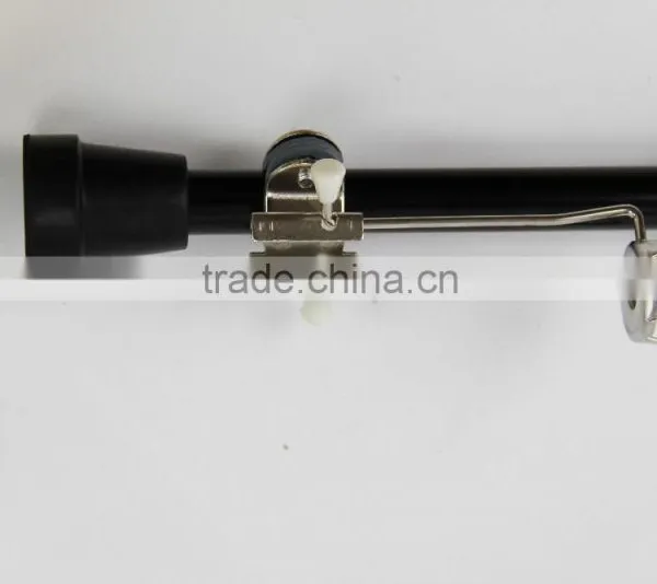 Ice Walking Sticks photo-2