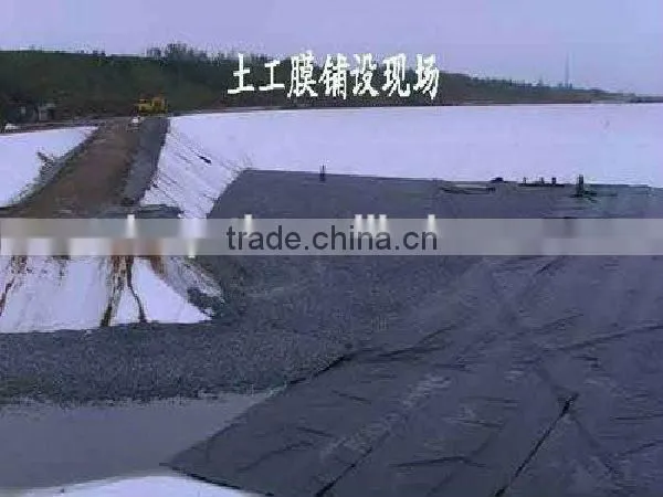 HDPE Geomembrane(1.0mm) for Fish Pond or Landfill Projects photo-4