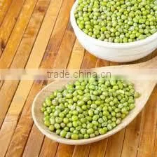 New Crop Peeled Split Green Mung Beans photo-4