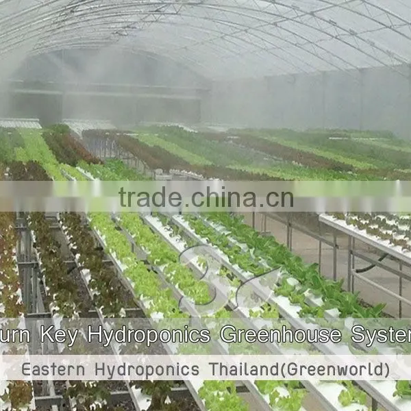 Hydroponics Greenhouse photo-2