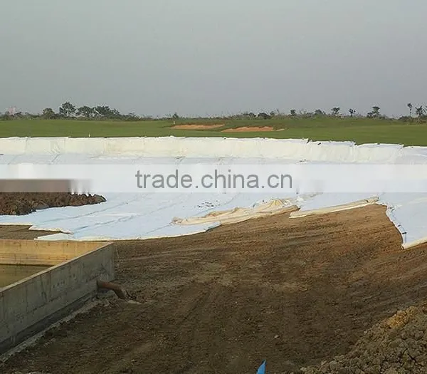Geocomposite/compound Geomembrane/geotextile Membrane photo-4