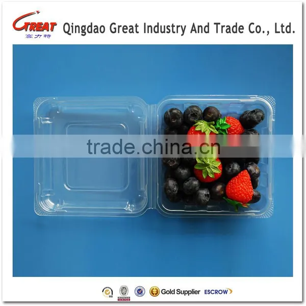Regular Plastic Small Square Fruit Bluebrries Container photo-3