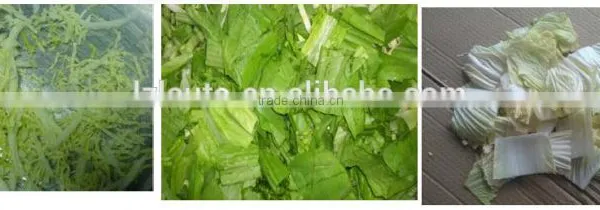 Industrial Vegetable Cutting Machine/fruit and Vegetable Cuting Machine/cutting Machine for Vegetable photo-6