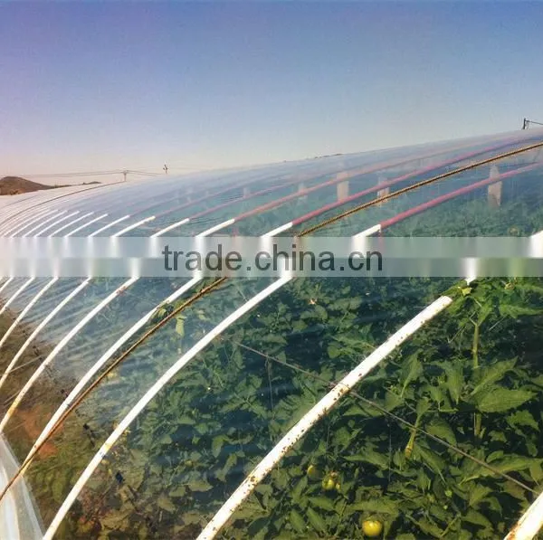 Greenhouse Film