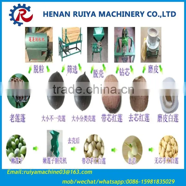 High Efficiency Lotus Nuts Husking Machine/Lotus Nuts Husker Machine 0086-15981835029 photo-3