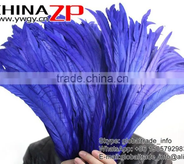 Leading Supplier CHINAZP Wholesale Colored Royal Blue Chicken Fully Dyed Roosters Feathers for Show photo-3