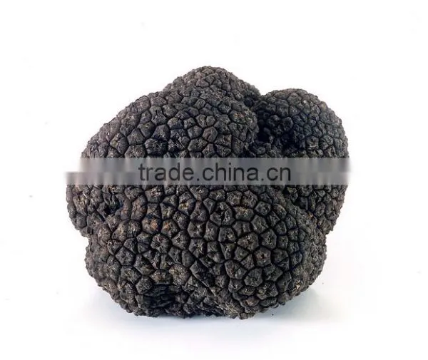 Truffle/Truffe