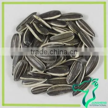 Striped Bulk Raw White Sunflower Seeds photo-5