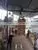 Vietnam Rubber Sawn Timber the Cheapest Price Moisture 8 - 12% Made Flooring and Pallet photo-2