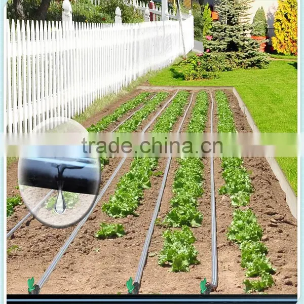 Drip Irrigation Tape With Continuous Drippers photo-3