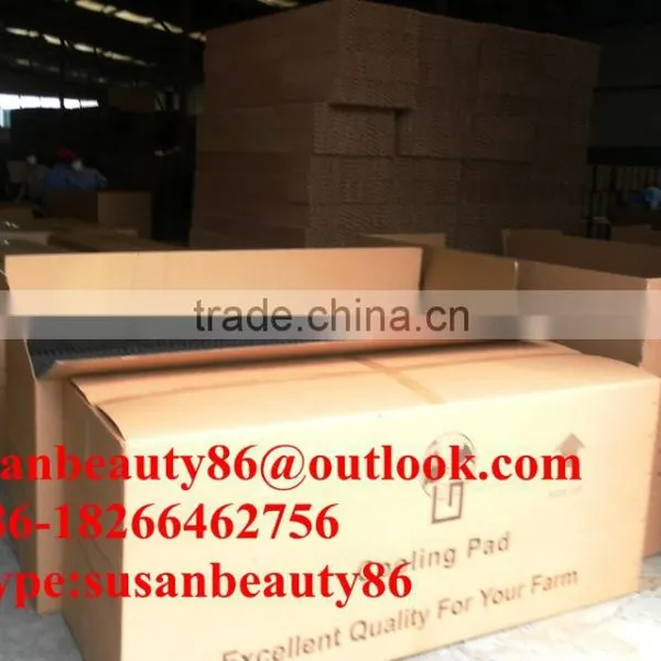China Exhaust Fan/Cooling Pad/Auto-heating Machine/Poultry Farm photo-6