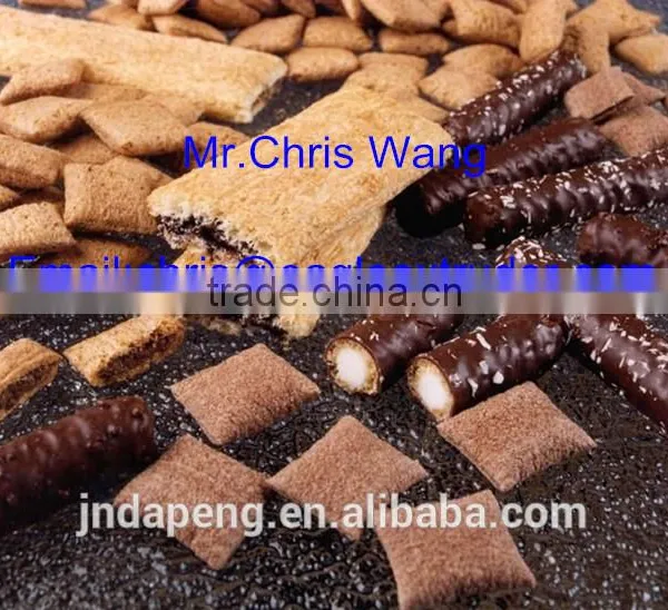 Core Filled/ Puff Snacks Processing Machinery, Vegetarian Granola Bar Making Machine photo-4