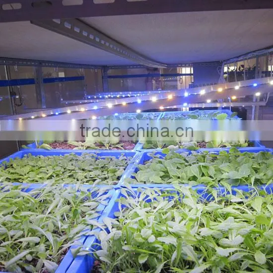 2016 MarsHydro Indoor Plant Led Grow Light Grow Bar Full Spectrum photo-6